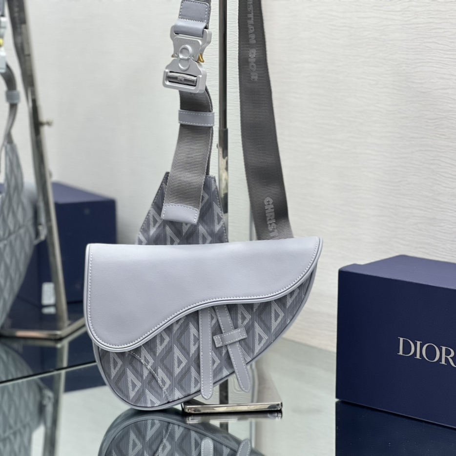 Dior hoodie saddle bag sale